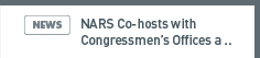 NARS NEWS: NARS Co-hosts with Congressmen's Offices a Seminar on 'The Current Status of Energy and Regional Cooperation in Northeast Asia and Its Prospects'