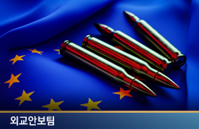 유럽의 재무장과 우리나라에 대한 시사점111111