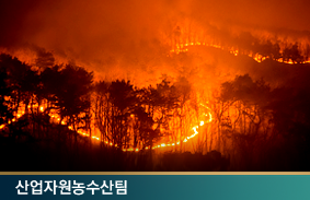 최근 산불대응 관련 주요 쟁점 및 향후 과제111111