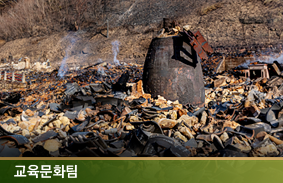 산불 등 화재로 인한 문화유산 피해와 향후 과제111111