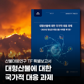 대형산불에 대한 국가적 대응 과제-2025년 영남권 대형산불 사태를 계기로111111