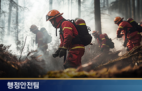 산불 대응 및 지휘체계의 현황과 개선과제111111