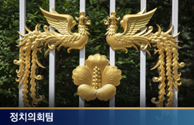 정치의회팀