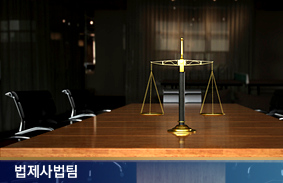 경영판단원칙, 이사 책임에 대한 입법적 방어수단 검토