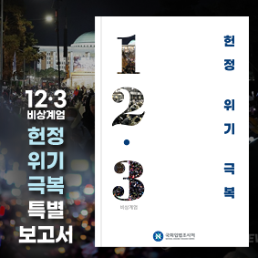 헌정위기 (12·3 비상계엄) 극복 특별보고서